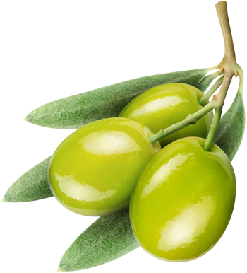fresh olive