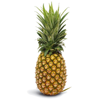 organic pineapple