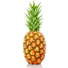 organic pineapple